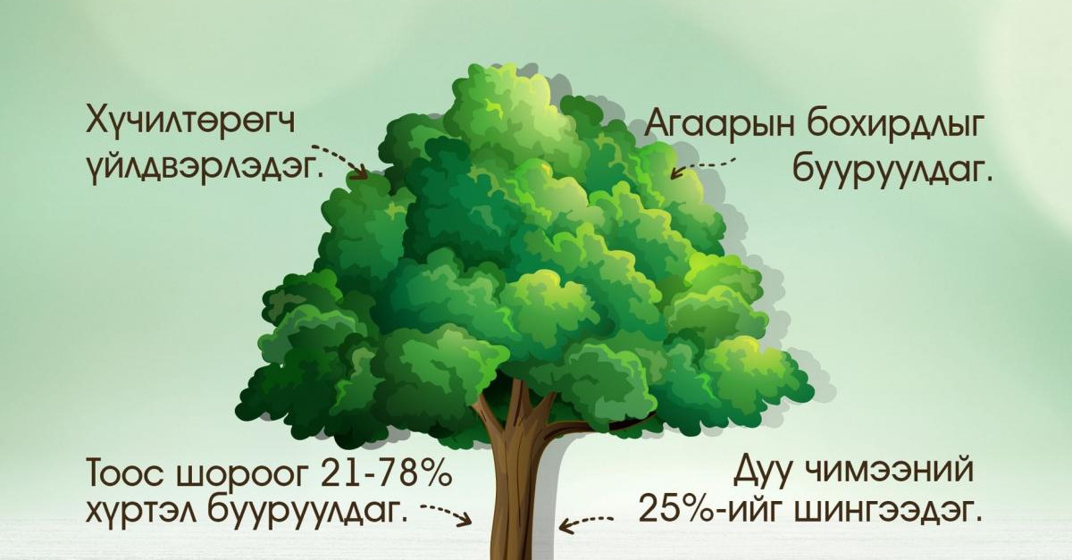 “Ногоон дуу хоолой” нэг сарын аян эхэллээ · Dorgio.mn
