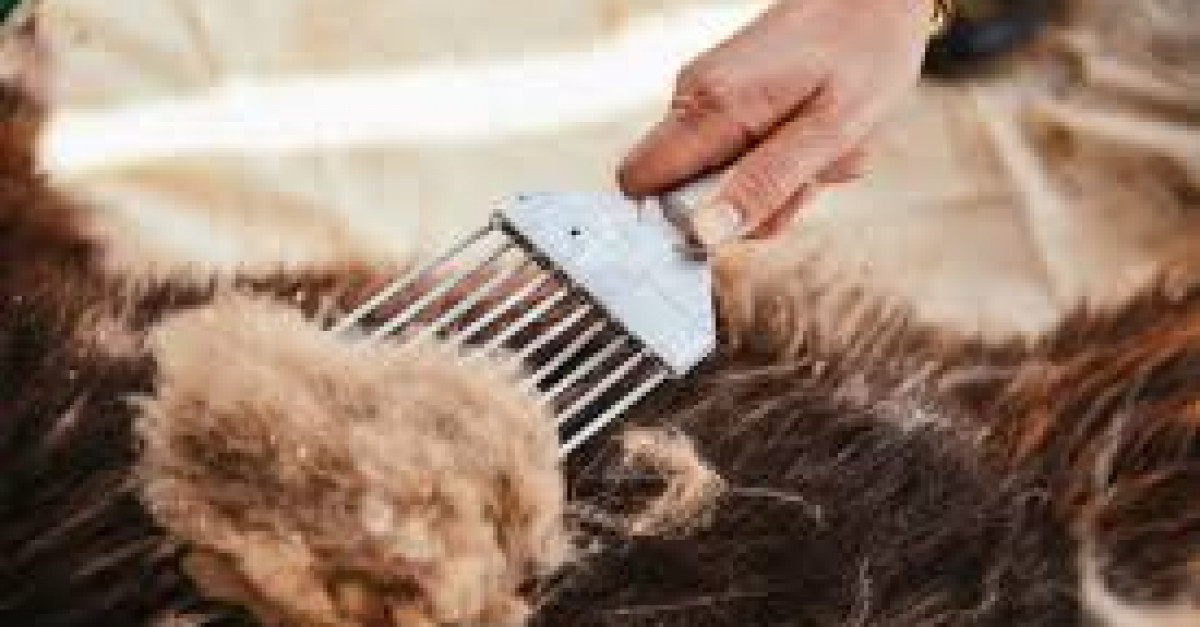 ҮНЭ ХАНШ: Ноолуур 165-207 мянган төгрөгийн үнэтэй байна