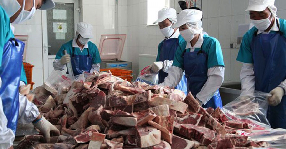 Өнөөдрөөс сүлжээ дэлгүүрээр НӨӨЦИЙН МАХЫГ худалдаалж эхэлнэ