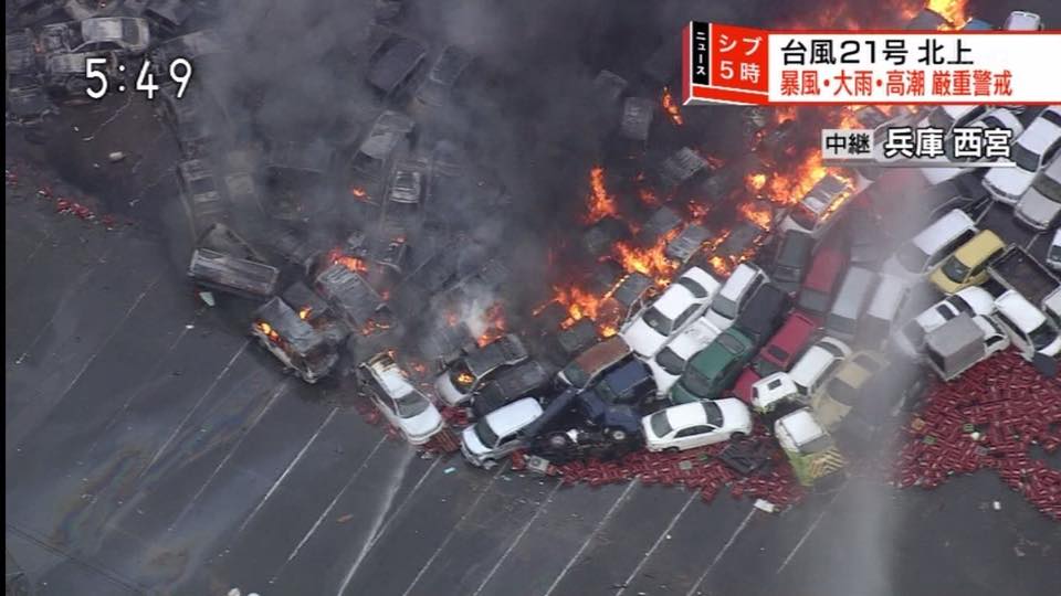 Японд дэгдсэн "Жеби" хар салхины улмаас 7 хүн нас барж, 200 гаруй хүн бэртжээ 