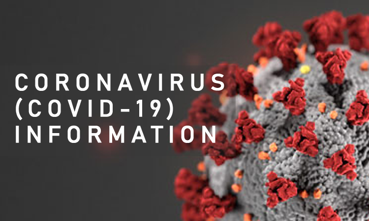 Коронавирусийн халдвар дэлхийн 216 улс оронд бүртгэгдэж, 6.1 сая хүн өвчилжээ