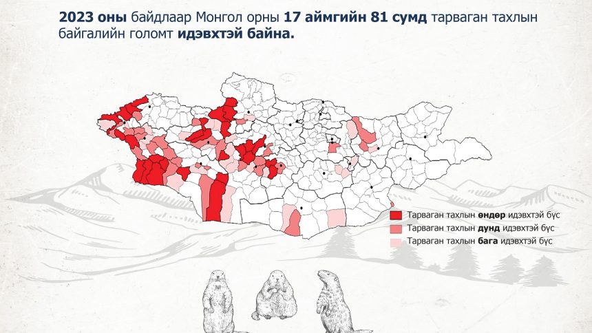 Улаанбаатар хотод тарваган тахал өвчний тохиолдол бүртгэгдлээ