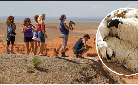 Жуулчдад хонь бэлэглэх нь найран дээр “Халзан цагаан хонь аваарай” гэдгээс огт өөр үр дагавартай даа… 