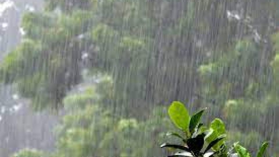 Өнөөдөр Булганы нутаг, Сэлэнгийн өмнөд болон зүүн хэсгээр ахиухан хэмжээний бороо орно