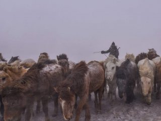 Бензин нь дуусаж, тусламж хүсэхээр яваад төөрсөн иргэнийг хилчид олжээ