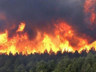 Д.Хишигбаатар: Түймэр гарахад ОБЕГ-ын удирдлагад аюулгүй ажиллагааг хангаж, хохирол багатай унтраачих хүн байхгүй