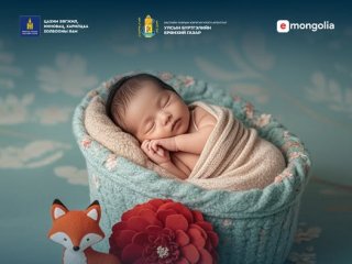 Шинээр төрсөн хүүхдийг төрсний бүртгэлд бүртгүүлэх хүсэлтээ E-Mongolia-аар илгээгээрэй
