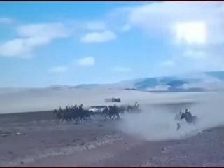 Уралдааны үеэр хүүхэд амиа алдаагүй л бол болоо гэсэн хандлагатай байж болохгүй