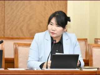 Ц.Мөнхтуяа АН-ын буянаар УИХ-ын гишүүн болсон уу? багш нарын саналаар УИХ-ын гишүүн болсон уу?