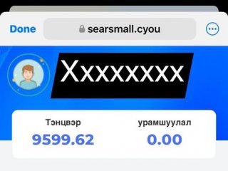 “Телеграмм хаягаас даалгавар биелүүлж орлоготой болоорой” гэх зарын дагуу 163 сая төгрөг залилуулжээ