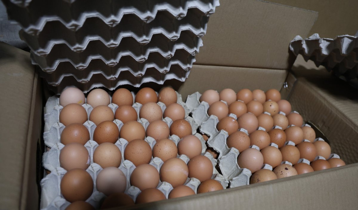 Хуурамч дардастай өндөг худалдан борлуулсан аж ахуйн нэгжид 20.000.000 төгрөгийн торгууль ногдууллаа