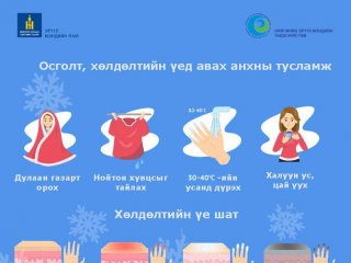 Энэ оны эхний 11 сарын байдлаар 244 хүн осгожээ