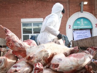 Өвлийн идэш өргөтгөсөн худалдаа энэ сарын 5-ныг дуустал үргэлжилнэ