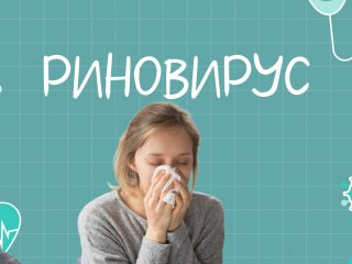 ХӨСҮТ: Риновирус нь шинэ халдвар биш бөгөөд томуу төст, түгээмэл вирус