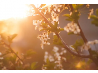 Ирэх III, IV, V сард нийт нутгаар хур тунадас багатай, дулаан байна