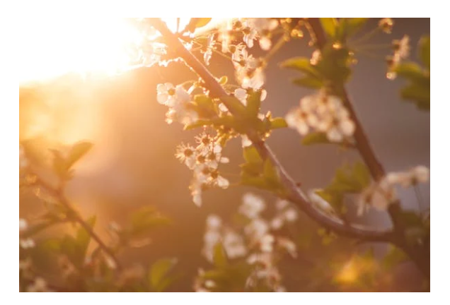 Ирэх III, IV, V сард нийт нутгаар хур тунадас багатай, дулаан байна