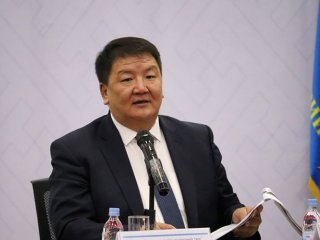 Авлига цэцэглэсэн гаалийг эрх зүйч, улс төрийн ажилтан П.Дэлгэрнаран цэгцэлж чадах уу?