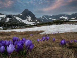 IV, V, VI сарын цаг агаарын төлөвтэй танилц