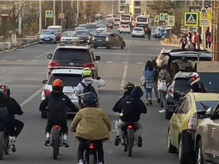 Өнгөрсөн онд суррон унаж явсан 32 хүүхэд эрүүл мэндээрээ хохирсон байна