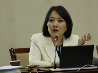 Д.Үүрийнтуяа: АМНАТ-ийг ялгаатай тогтоох юм бол компани, хөрөнгө оруулагч бүрд зориулсан хуультай болох хэрэгтэй