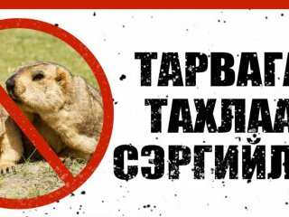 ЗӨСҮТ: Тарваган тахлын сэжигтэй тохиолдлын нэгдүгээр хавьтал болсон 12 хүнийг тусгаарлаж, эмчилгээ хийж байна