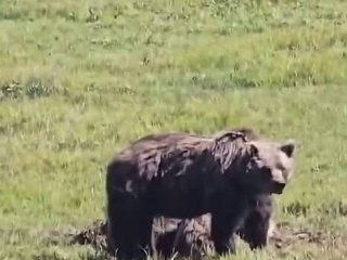 Цэцэрлэг, сургуулиудыг намрын аялал, зугаалга зохион байгуулахыг хориглолоо