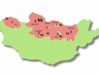 Энэ сарын 19-20-ны өдрийн хооронд суурьшлын бүсэд БААВГАЙ үзэгдсэн 13 удаагийн дуудлага мэдээлэл бүртгэгджээ 